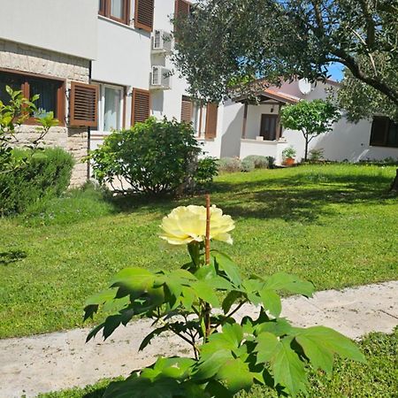 Apartments Dina بولا المظهر الخارجي الصورة